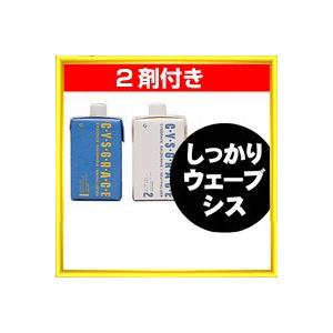 SHISEIDO PROFESSIONAL（資生堂プロフェッショナル） 資生堂 シス