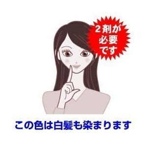 スロウカラー マージ 白髪染め アッシュ ブラック AB 10.5 100g|berryscosme|02