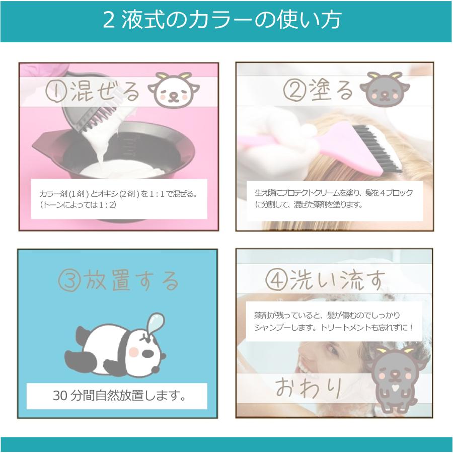 THROW 白髪染め スロウカラー 100g 1本と オキシ 1リットル セット