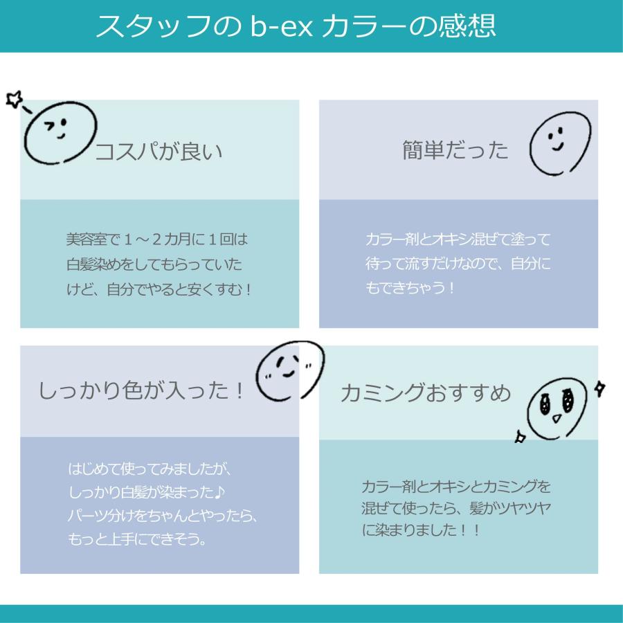 THROW 白髪染め スロウカラー 100g 1本と オキシ 1リットル セット