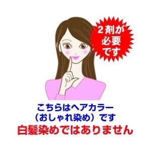 ティントバー ヘアカラー カラーリング クリア 90g : ベリーズコスメ