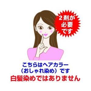 ティントバー ヘアカラー カラーリング ロイヤルパープル 90g