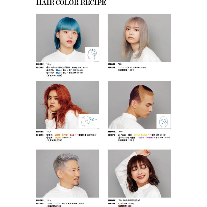 【2000g×3本】デミトイロクション オキシ 6% 3% 1.5% セット デミ コスメティクス（DEMI COSMETICS） デミ トイロクション オキシ