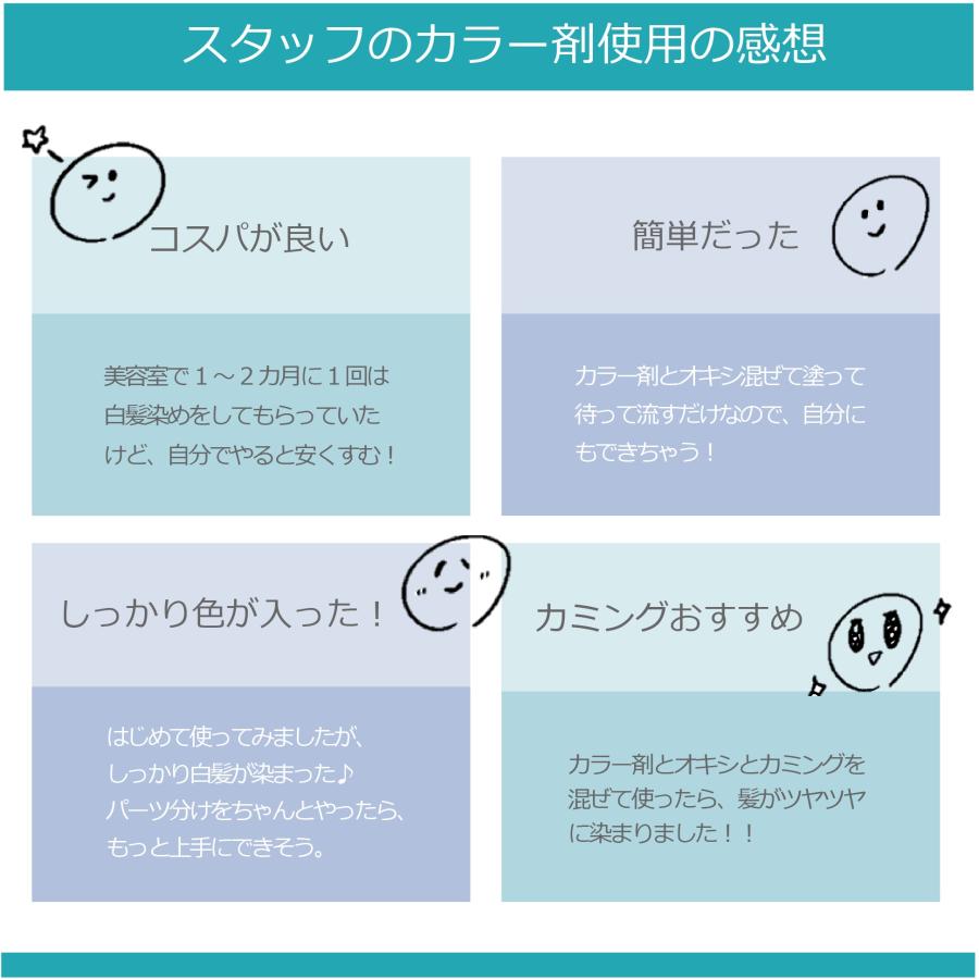 コレストンパーフェクト ウエラコレストン パーフェクト plus 80g 4本