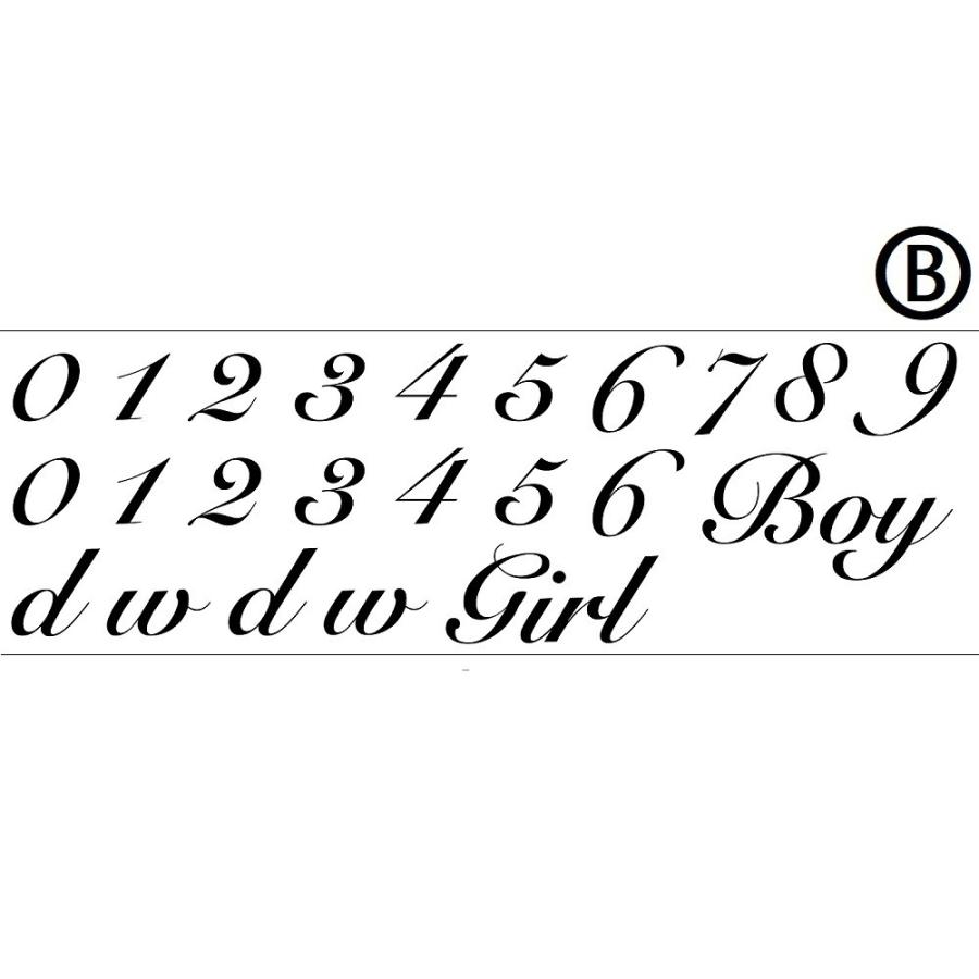 【練習用シール付】 マタニティフォト シール ベリーペイント タトゥーシール 小物 貼り方説明書付き 送料無料 ポスト投函 E |  | 11