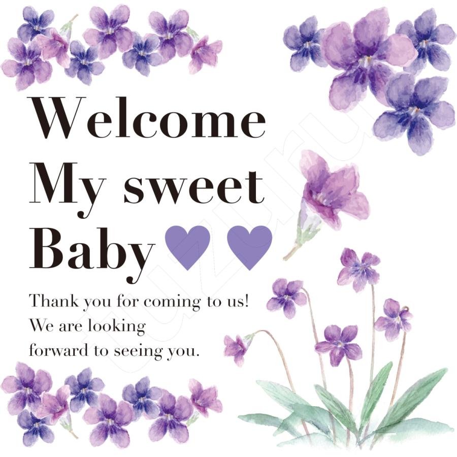 【練習用シール付】 マタニティフォト シール ベリーペイント タトゥーシール 小物 貼り方説明書付き 送料無料 ポスト投函 E |  | 03