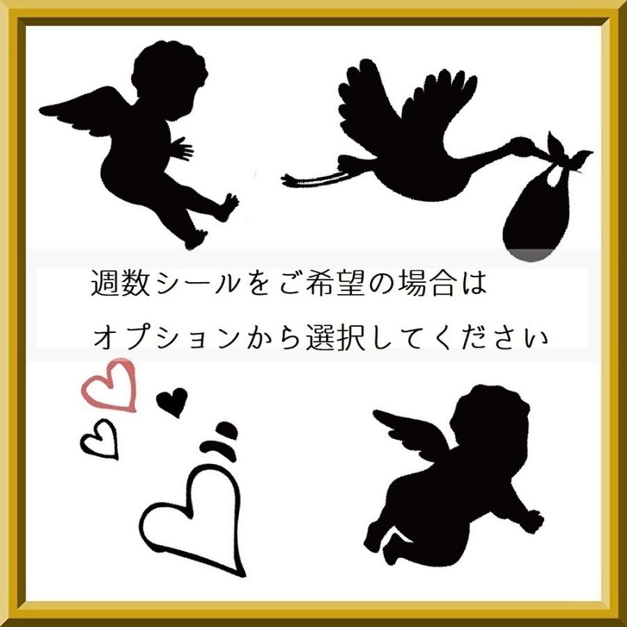 【練習用シール付】 マタニティフォト シール ベリーペイント タトゥーシール 小物 貼り方説明書付き 送料無料 ポスト投函 E |  | 08