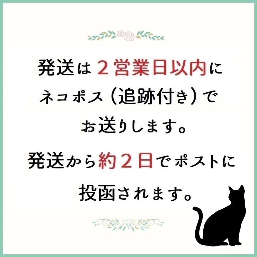 tuzuru マタニティフォト ベリーペイントシール ボディペイントシール タトゥーシール バラ 練習用シール付き 送料無料 ポスト投函 W｜berrysticker｜09