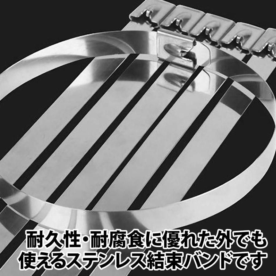 50%offクーポン有 ステンレス 結束バンド 10本 セット 長さ 20cm 屋外