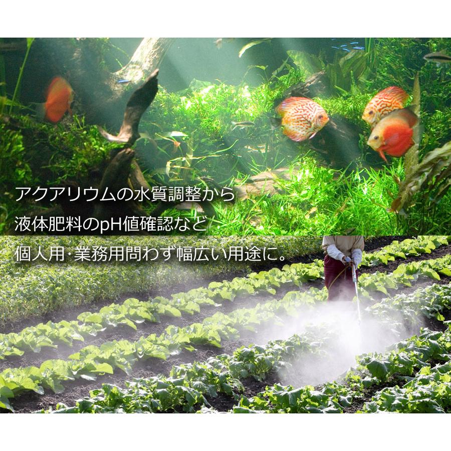 検査機関も愛用 高精度 0 01ph単位 デジタル Ph計 Ph測定器 日本語説明書付 正規品 12ヶ月保証 熱帯魚 アクアリウム 水族館 水槽 校正剤 Yahoo Berykoko Digital 003 Berykoko Direct Yahoo店 通販 Yahoo ショッピング