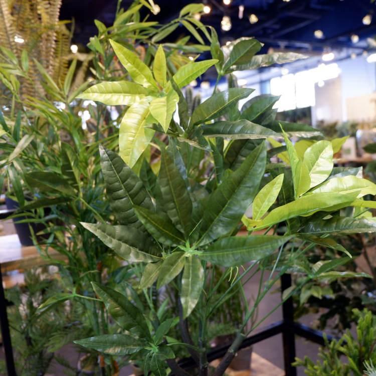 パキラポット 110cm｜GLA-1197 アーティフィシャルグリーン 人工観葉植物 鉢付きグリーンの画像