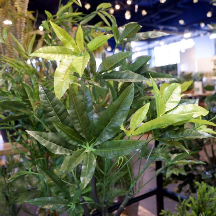 パキラポット 110cm｜GLA-1197 アーティフィシャルグリーン 人工観葉植物 鉢付きグリーンの画像