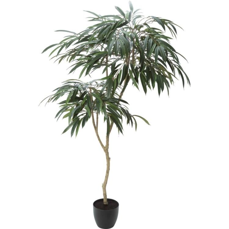 ショウナンゴム 180cm｜GLP-1516 アーティフィシャルグリーン 人工観葉植物 鉢付きグリーン
