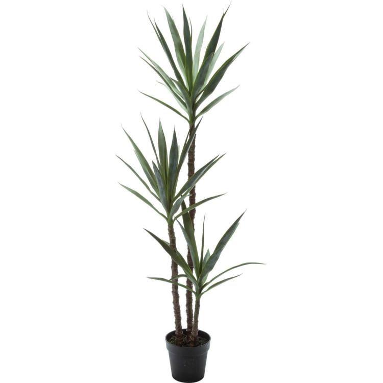 日本全国送料無料 ユッカエレファンティペス 155cm 横浜ディスプレイミュージアム Glp 1519 アーティフィシャルグリーン 人工観葉植物 鉢付きグリーン 公式の Www Khaskhabar Online