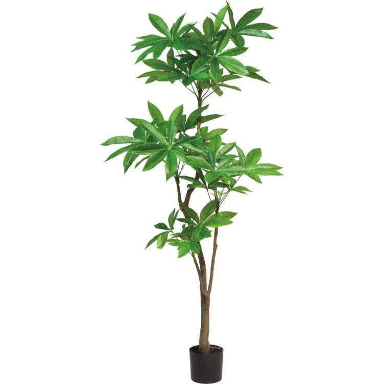 パキラ 180cm｜GLP-1522 アーティフィシャルグリーン 人工観葉植物