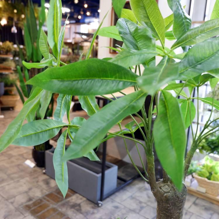 パキラ 180cm｜GLP-1522 アーティフィシャルグリーン 人工観葉植物