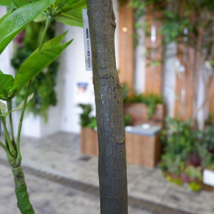 パキラ 180cm｜GLP-1522 アーティフィシャルグリーン 人工観葉植物