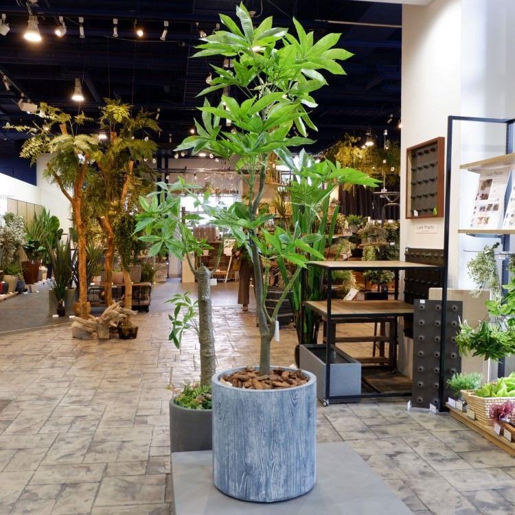 パキラ 180cm｜GLP-1522 アーティフィシャルグリーン 人工観葉植物