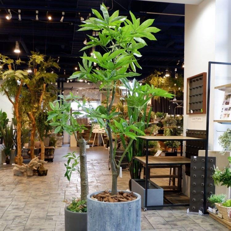 パキラ 180cm｜GLP-1522 アーティフィシャルグリーン 人工観葉植物