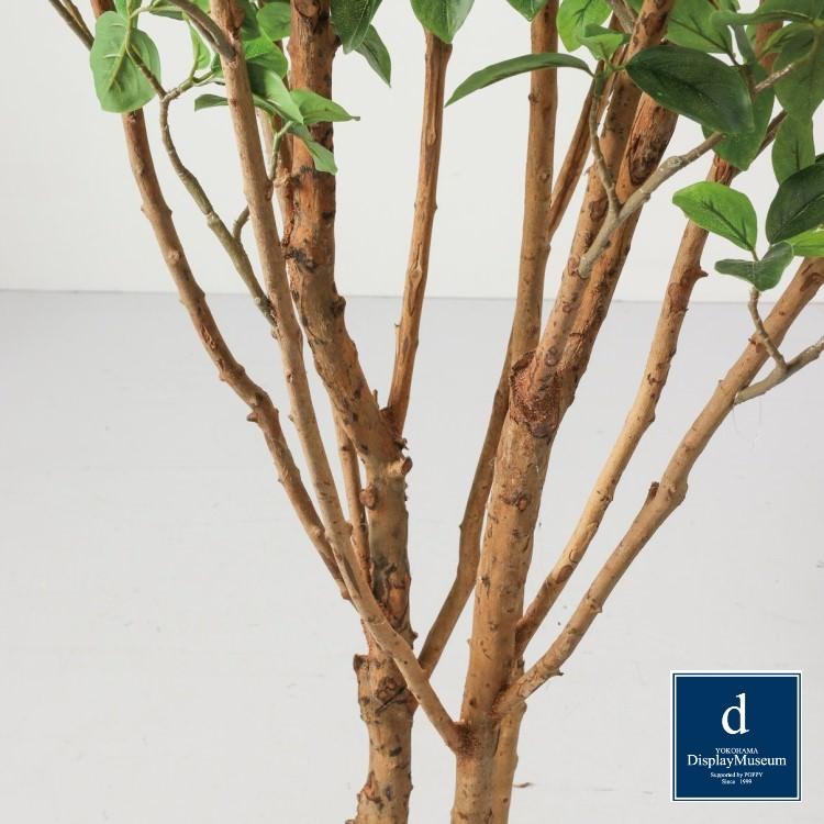 ガジュマルツリー 160cm｜GLP-1553 アーティフィシャルグリーン 人工観葉植物 鉢付きグリーン_3