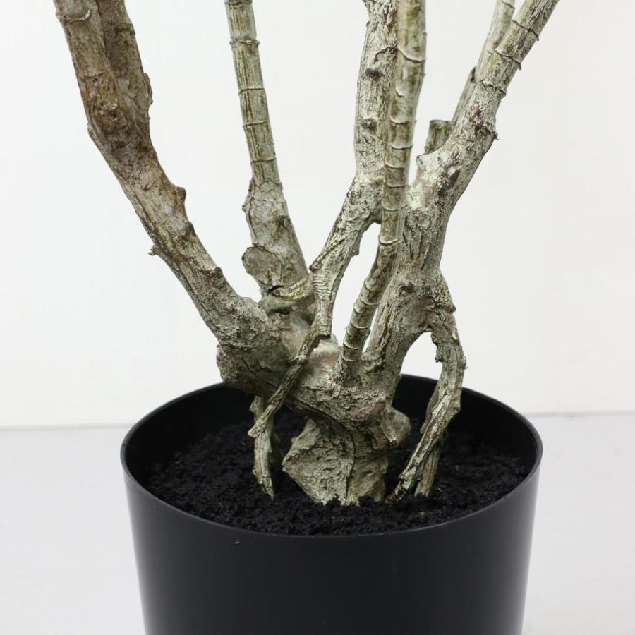 ドラセナポット 140cm｜GLP-1576 アーティフィシャルグリーン 人工観葉植物 グリーン_1