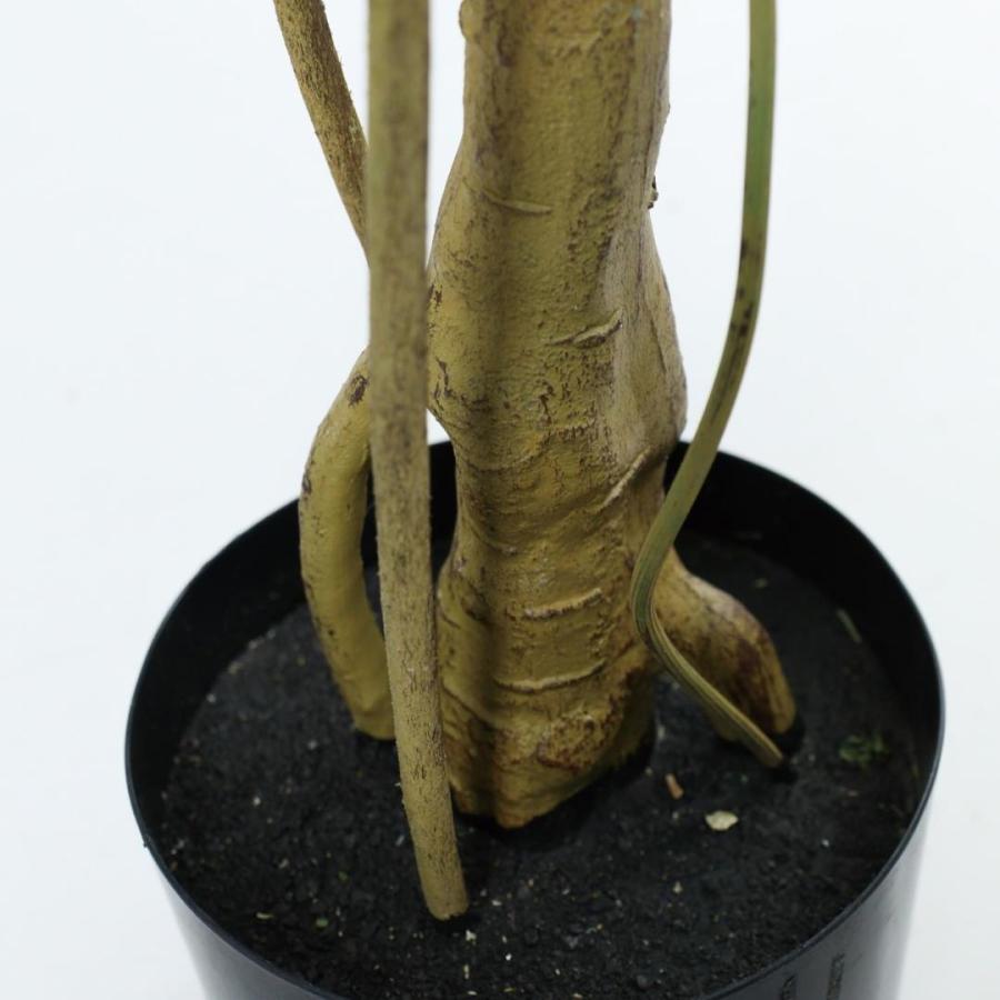 モンステラ 160cm｜GLP-1585 アーティフィシャルグリーン 人工観葉植物 グリーンの画像