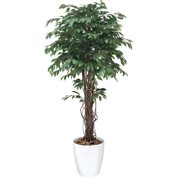 最適な価格 ベンジャミンリアナ 180cm 横浜ディスプレイミュージアム Glpa 006 アーティフィシャルグリーン 人工観葉植物 鉢付きグリーン 受賞店舗 Www Maxipiso Com Ar