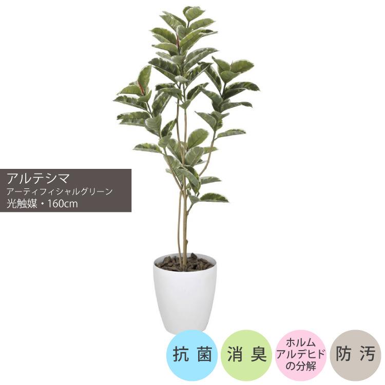 アルテシマ1.6m｜GLPA-042 アーティフィシャルグリーン 人工観葉植物 鉢付きグリーン 可視光応答型光触媒「V-CAT Tree」_1