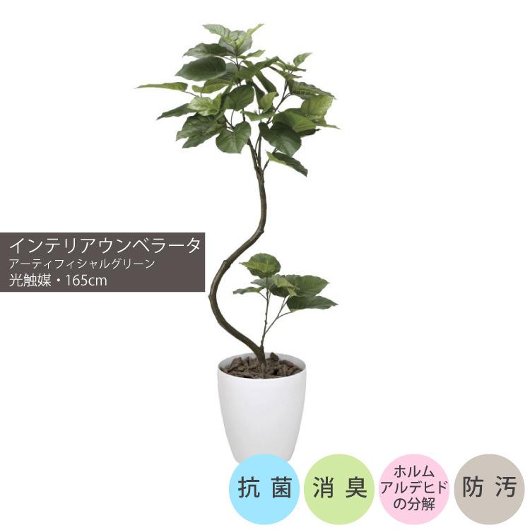 インテリアウンベラータ1.65m｜GLPA-048 アーティフィシャルグリーン 人工観葉植物 鉢付きグリーン 可視光応答型光触媒「V-CAT Tree」_1