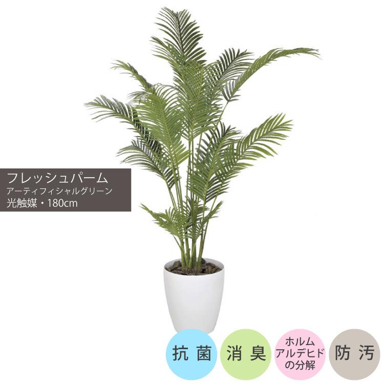 光触媒 人工観葉植物 フェイクグリーン フレッシュパーム 1.8m 【公式
