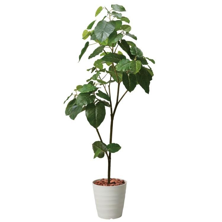 ウンベラータ 180cm ブラックポット｜GLPS-1512BKL アーティフィシャルグリーン 人工観葉植物 鉢付きグリーン
