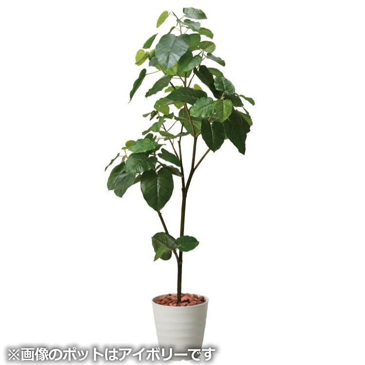 ウンベラータ 180cm パールホワイトポット｜GLPS-1512PWL アーティフィシャルグリーン 人工観葉植物 鉢付きグリーン_2