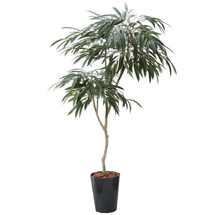 ショウナンゴム 180cm パールホワイトポット｜GLPS-1516PWL アーティフィシャルグリーン 人工観葉植物 鉢付きグリーン