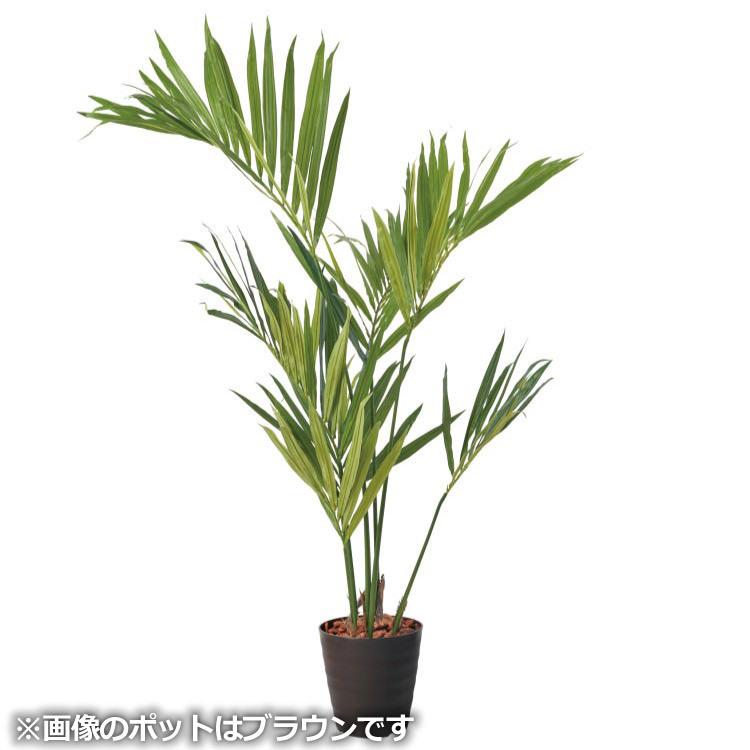 ケンチャヤシ 150cm ブラックポット｜GLPS-1528BKS アーティフィシャル
