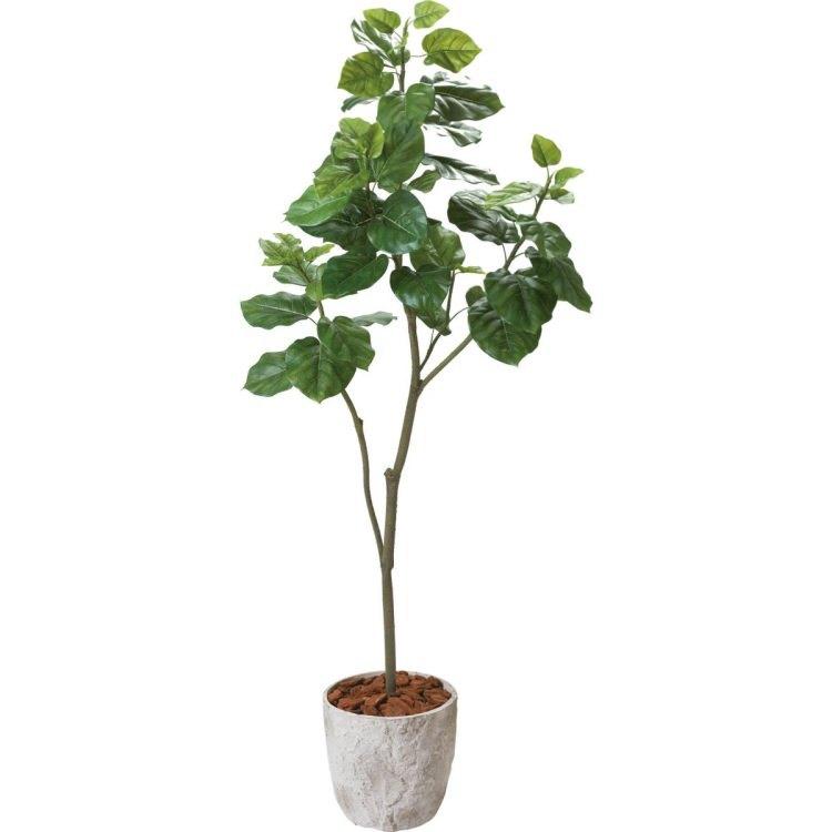 ウンベラータ 180cm｜GLPS-2002 アーティフィシャルグリーン 人工観葉植物 鉢付きグリーン