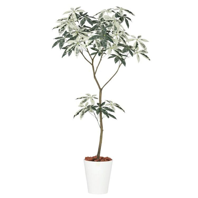 フイリパキラ1.5m｜GLPT-201 アーティフィシャルグリーン 人工観葉植物 鉢付きグリーン