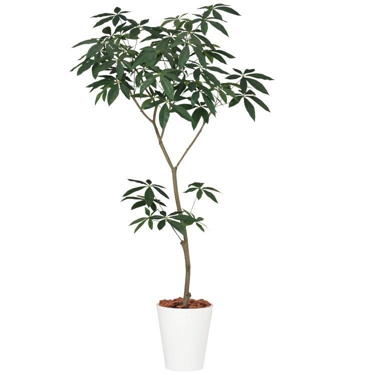 人気ファッションまとめランキング パキラ1 8m Glpt 8 アーティフィシャルグリーン 人工観葉植物 鉢付きグリーン 新品同様 Boqha Ir