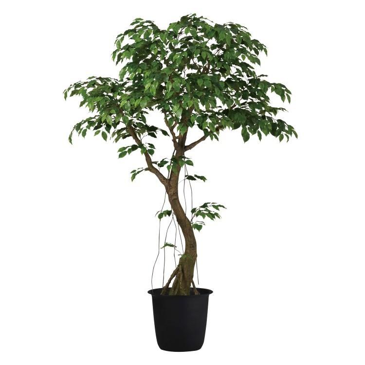 ベンジャミナスプラッシュコアッド2.3m｜GLPT-228 アーティフィシャルグリーン 人工観葉植物 鉢付きグリーン