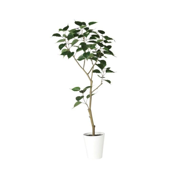 光触媒 人工観葉植物 ウォールグリーン フェイクグリーン インド