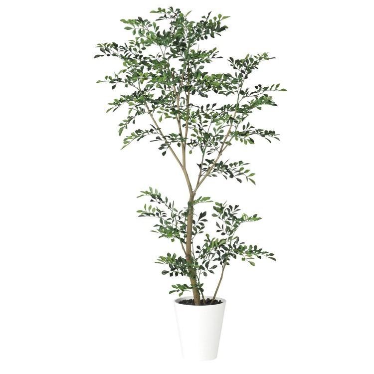 トネリコ Fst W70 H150cm 917 アーティフィシャルグリーン 人工観葉植物 鉢付きグリーン Dm Tk917 ビザインショップ 通販 Yahoo ショッピング