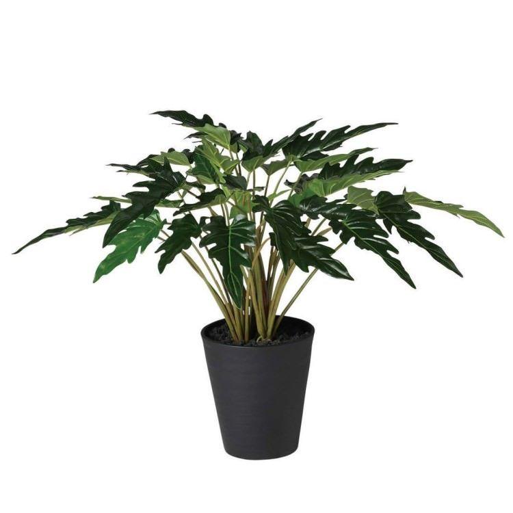 クッカバラ W70×H50cm 91891 アーティフィシャルグリーン 人工観葉植物 