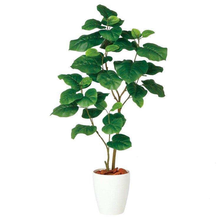ウンベラータ２本立 FST W60×H120cm 98920 アーティフィシャルグリーン 人工観葉植物 鉢付きグリーン