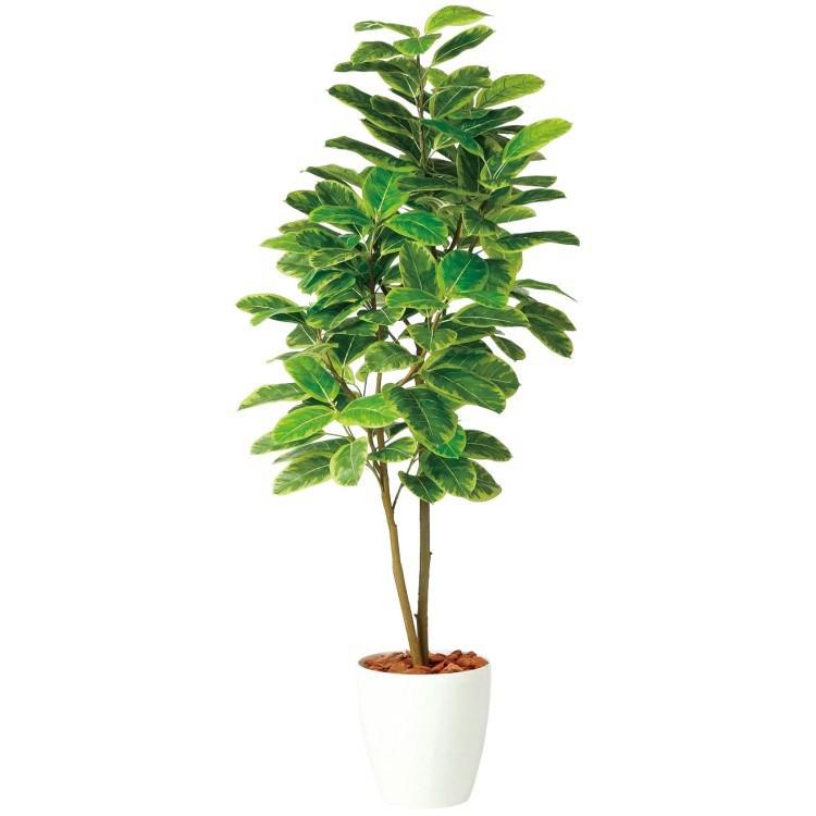 アルテシマ FST W65×H150cm 98932 アーティフィシャルグリーン 人工観葉植物 鉢付きグリーン