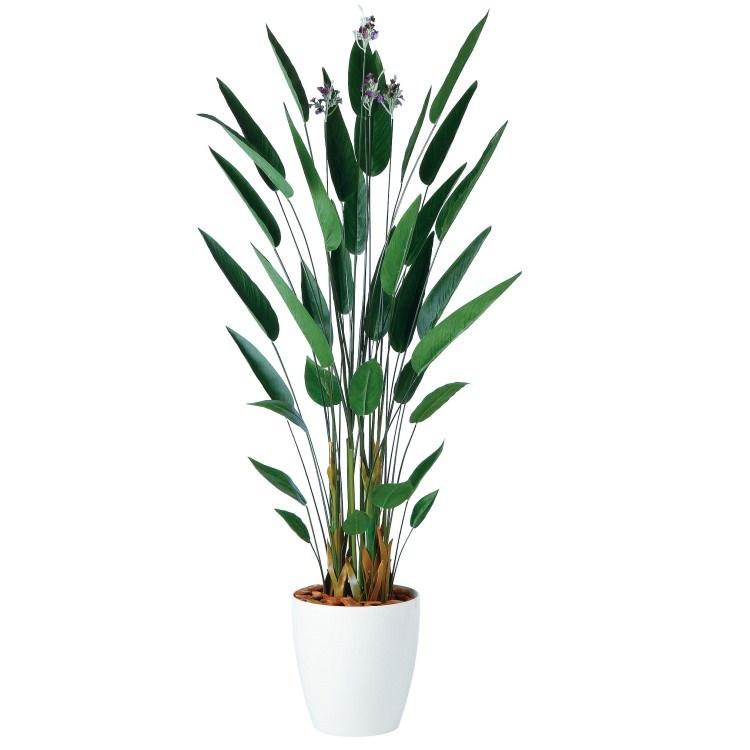 安い大阪店舗 カンナ W80 H0cm 953 アーティフィシャルグリーン 人工観葉植物 鉢付きグリーン Dm Tk953 ビザインショップ 通販 Yahoo ショッピング 購入超安い Sbdkab Go Id