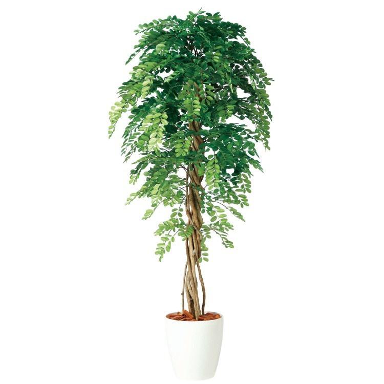 アカシアリアナ W90×H180cm 98983 アーティフィシャルグリーン 人工観葉植物 鉢付きグリーン
