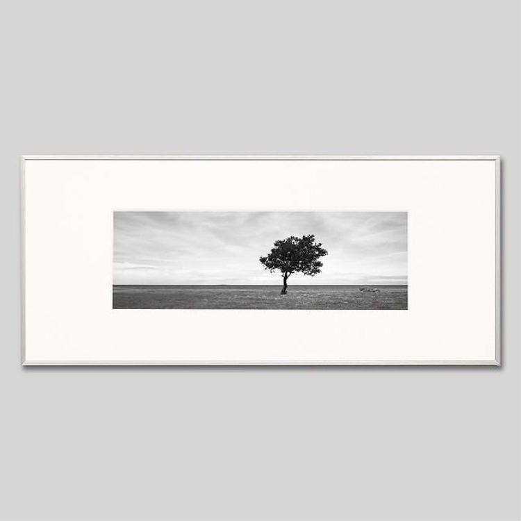 IGREBOW ニューカレドニア グランドテール島ヌヴィル 海岸地帯の1本の木 アイグレボウ 室内装飾写真絵 軽銀枠組み L大きさ 白黒 レリーフ、アート-ウォールデコレーション-家具、インテリア