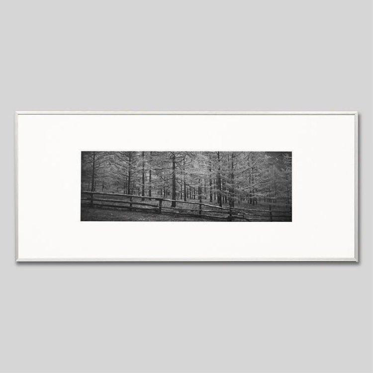 IGREBOW モンゴル テレルジ 槭樹の森 アイグレボウ 室内装飾写真絵 軽銀枠組み L大きさ 白黒 家具、インテリア-レリーフ、アート-ウォールデコレーション