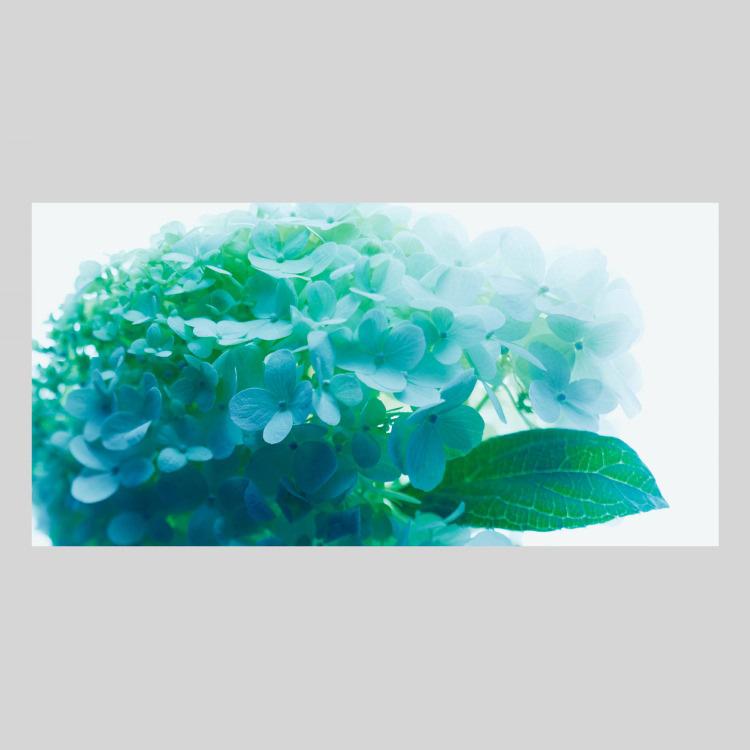 IGREBOW アジサイの花 アイグレボウ インテリアフォト アルミフレーム Mサイズ カラー写真の画像