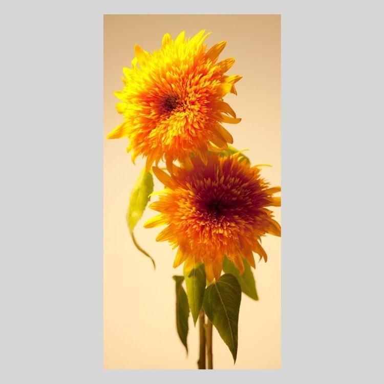 IGREBOW ひまわりの花 アイグレボウ インテリアフォト アルミフレーム Mサイズ カラー写真の画像
