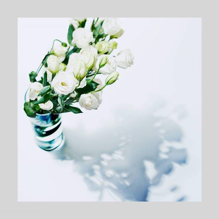 IGREBOW 花瓶に入ったトルコキキョウの花 アイグレボウ インテリアフォト アルミフレーム Sサイズ カラー写真｜besign｜02